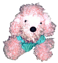Picture of Polly - Webkinz Animal